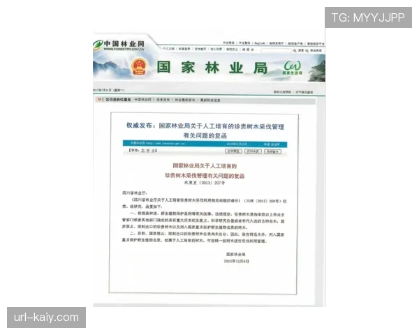 深度报道：诺丁汉森林财务违规案上诉听证会结束，判决结果将影响英超联赛未来赞助合约估值
